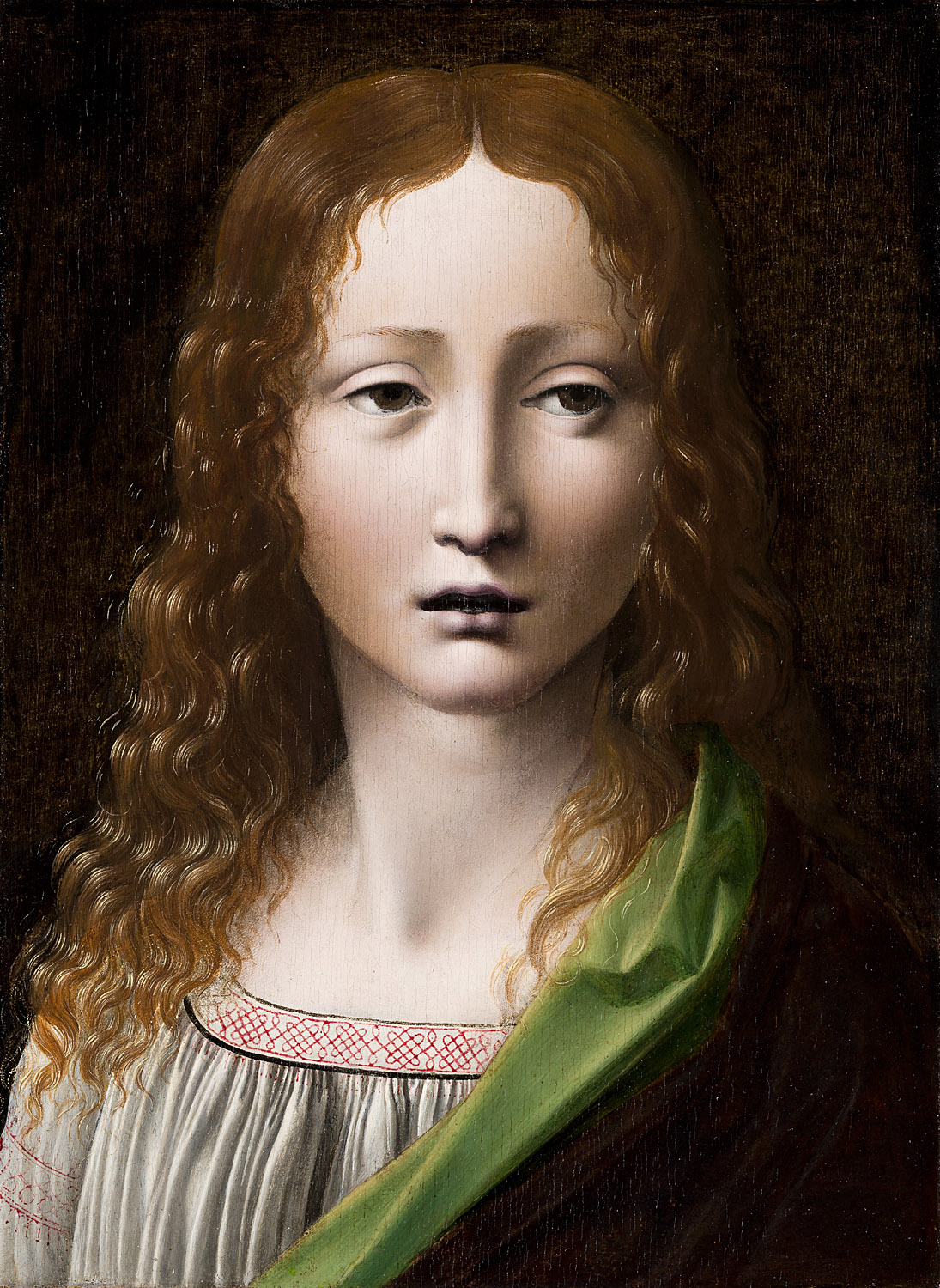 BOLTRAFFIO: "Salvador adolescente"