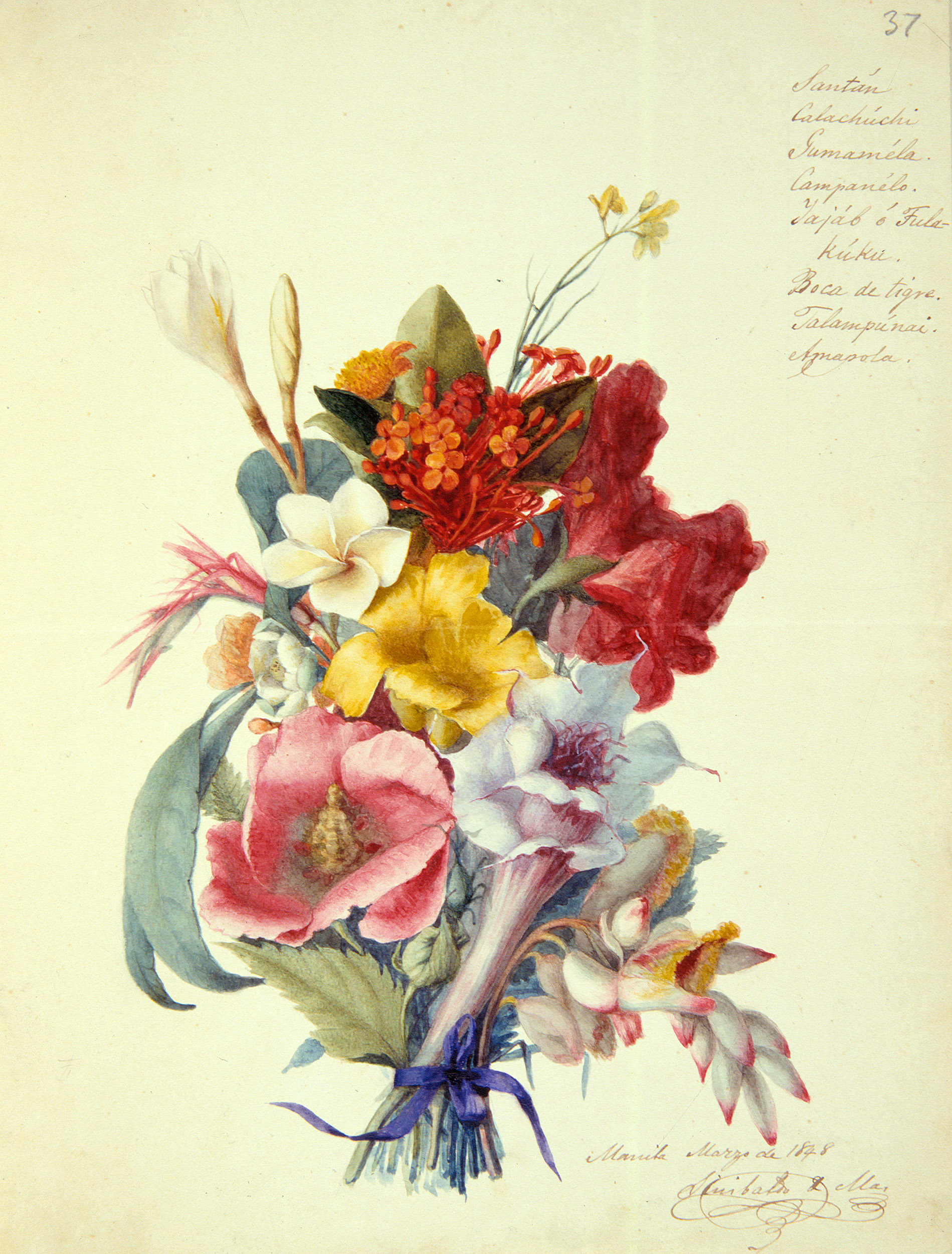 Álbum de María de los Dolores Perinat y Ochoa