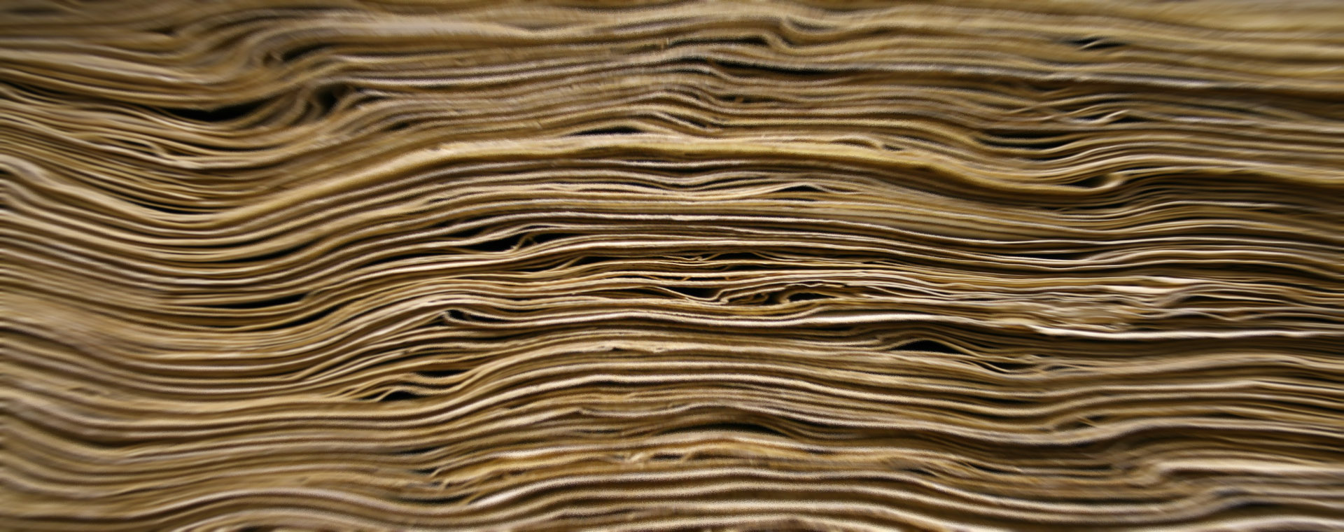 Explora la Biblioteca Lázaro Galdiano