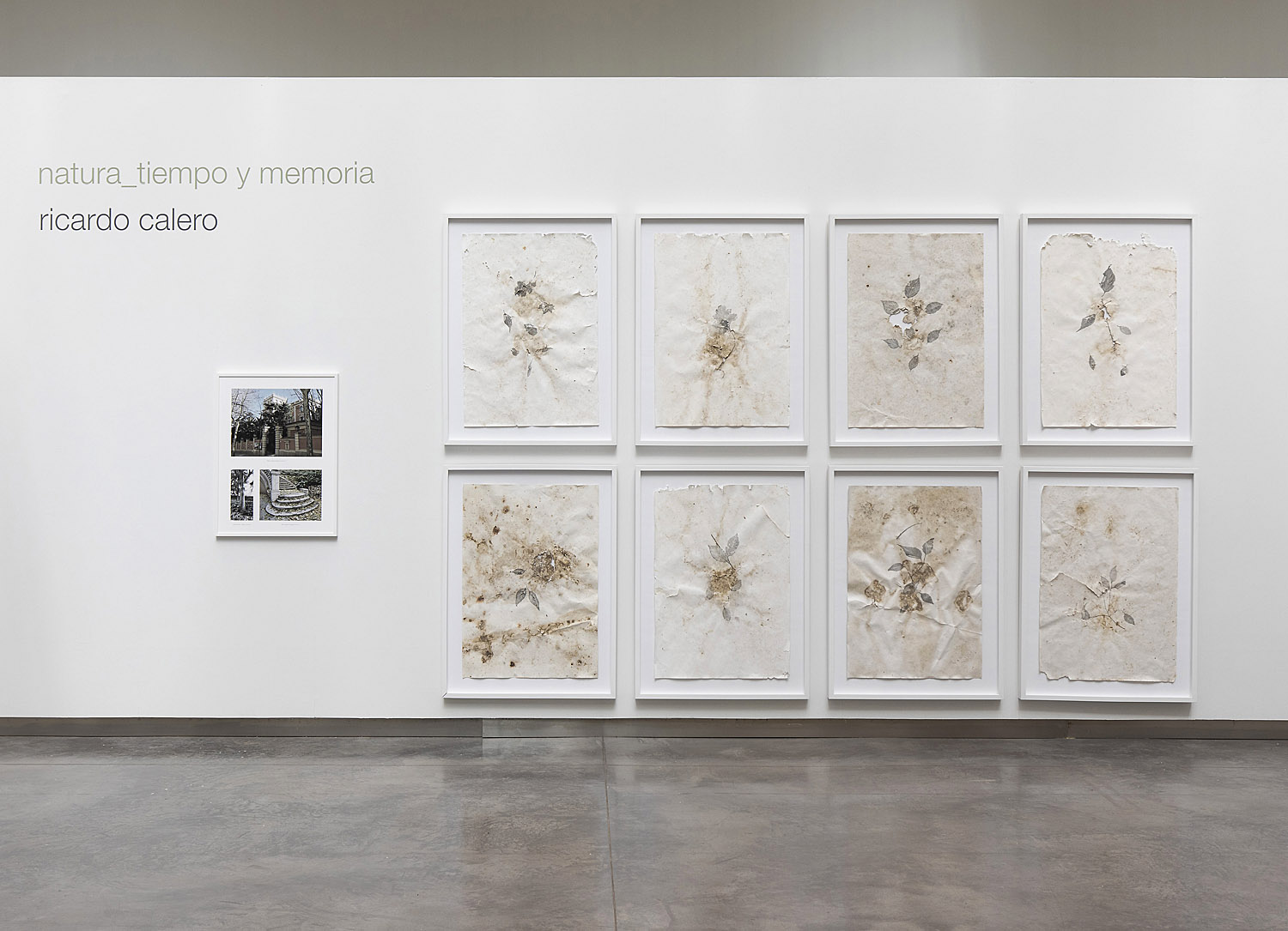 Ricardo Calero: Natura, tiempo y memoria