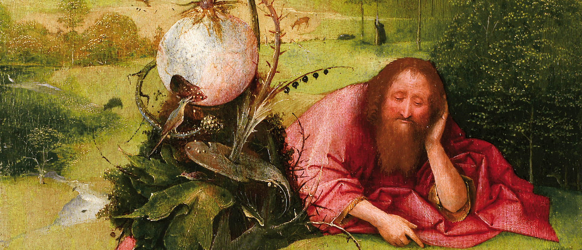 HIERONYMUS BOSCH: Meditaciones de San Juan Bautista (detalle)