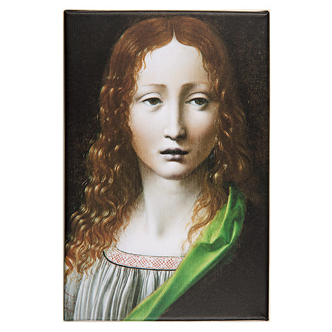 Boltraffio, "El Salvador adolescente". 20 x 30 cm.