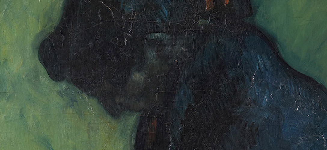 Exposición ISIDRE NONELL MIRANDO A GOYA